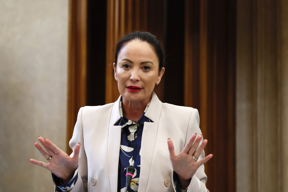 Violence against women: Femicide Commission aims to conclude investigation by 2025