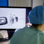 Assisted reproduction, the Council: ‘Even an intentional mother can recognise her child’