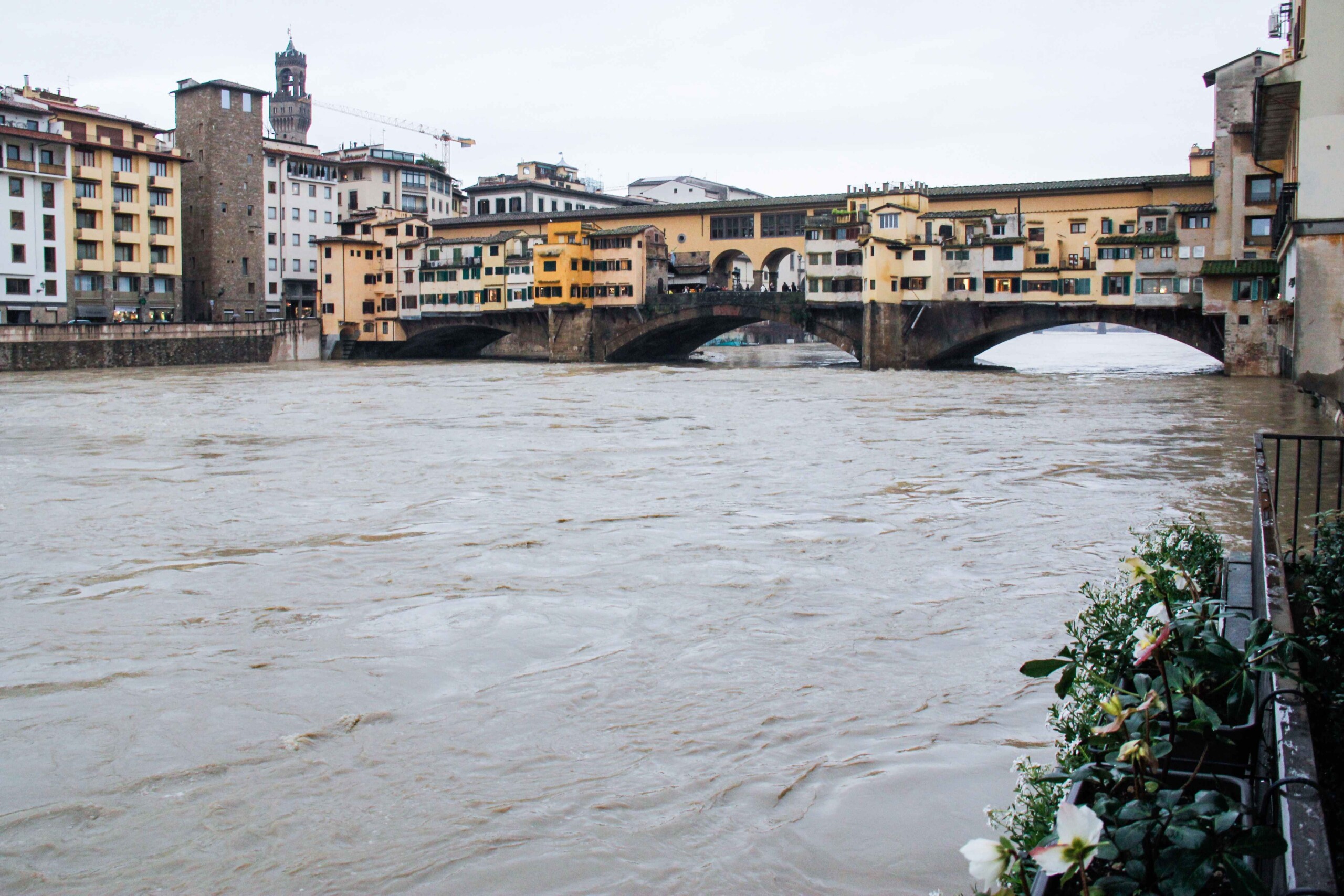 Bad weather, Giani: “In Tuscany cloudbursts and over 109,000 lightning strikes in 12 hours” Bad weather, Giani: “In Tuscany cloudbursts and over 109,000 lightning strikes in 12 hours”