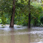 Bad weather: heavy rain in Milan, risk of flooding in Lambro