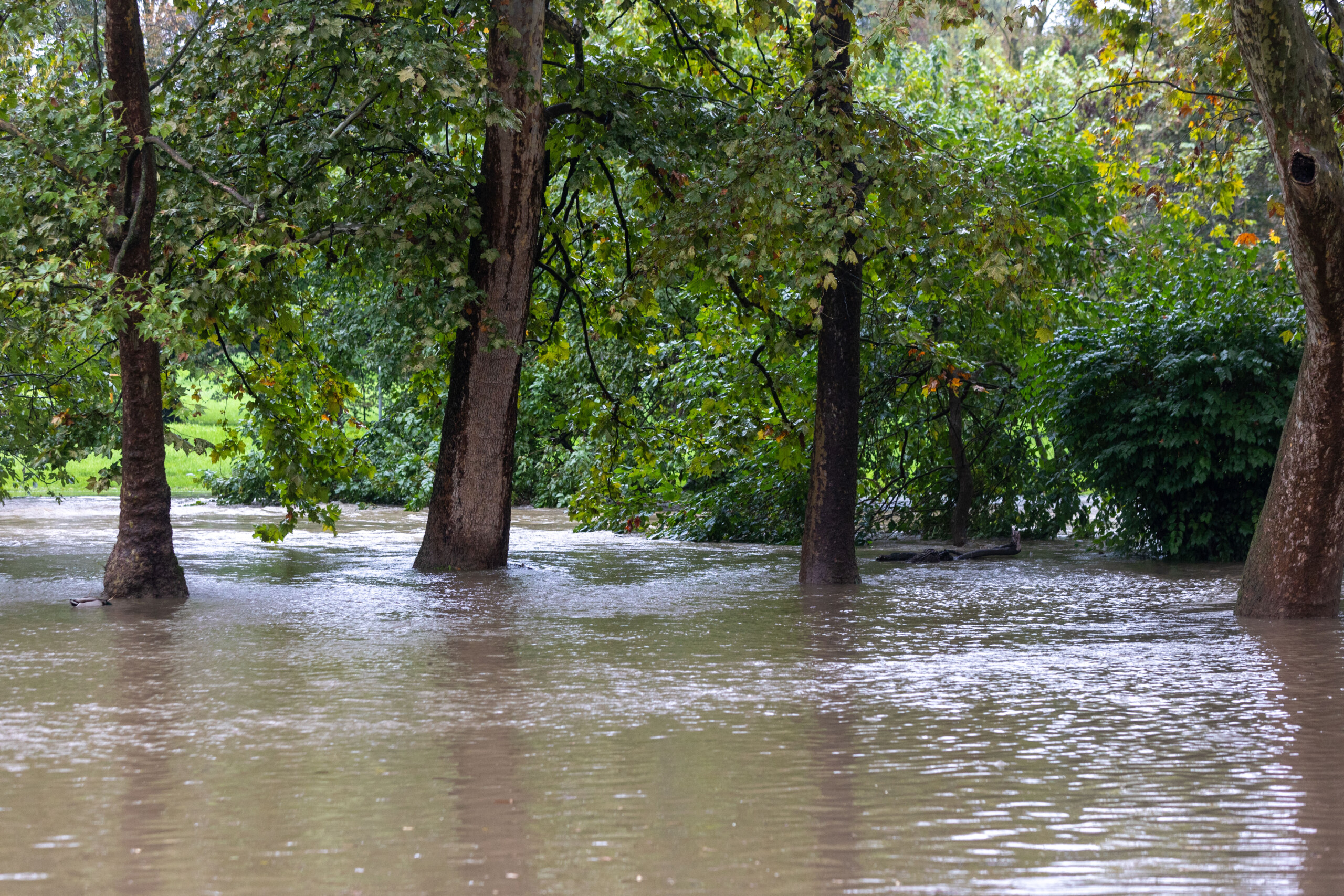 Bad weather: heavy rain in Milan, risk of flooding in Lambro Bad weather: heavy rain in Milan, risk of flooding in Lambro