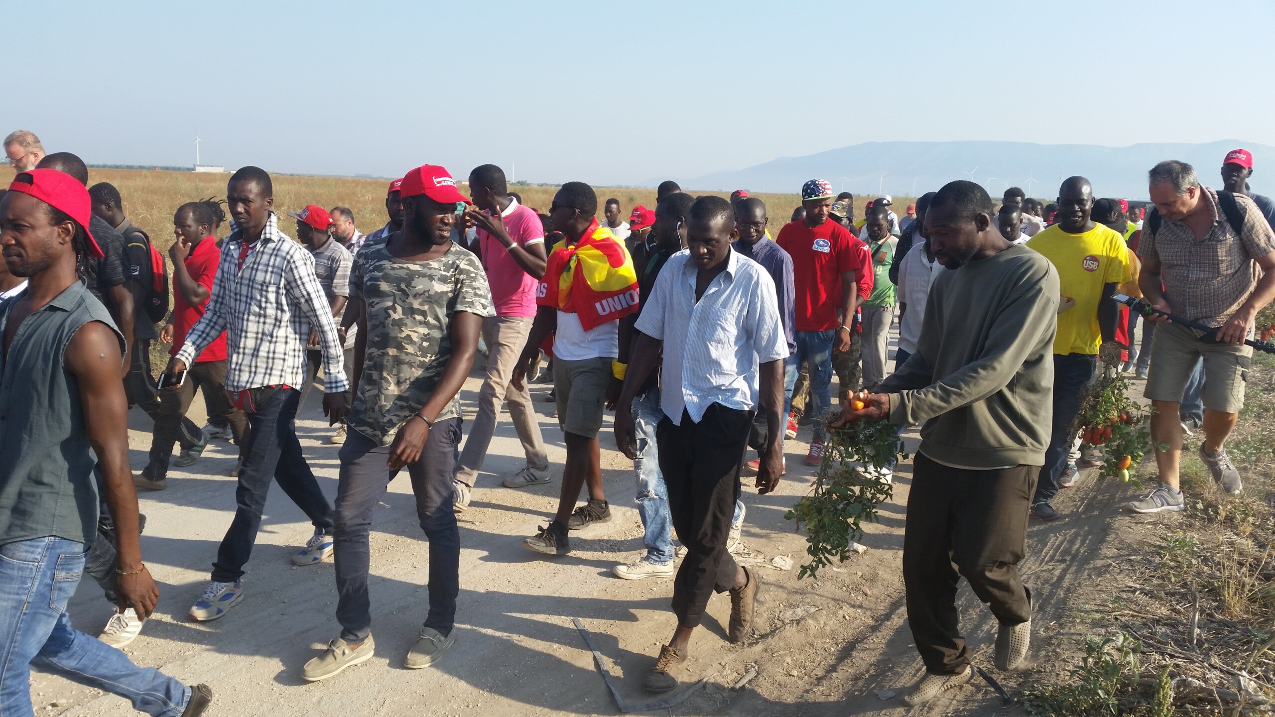 Caporalato, CEI: ‘Let there be a wake-up call against exploitation’