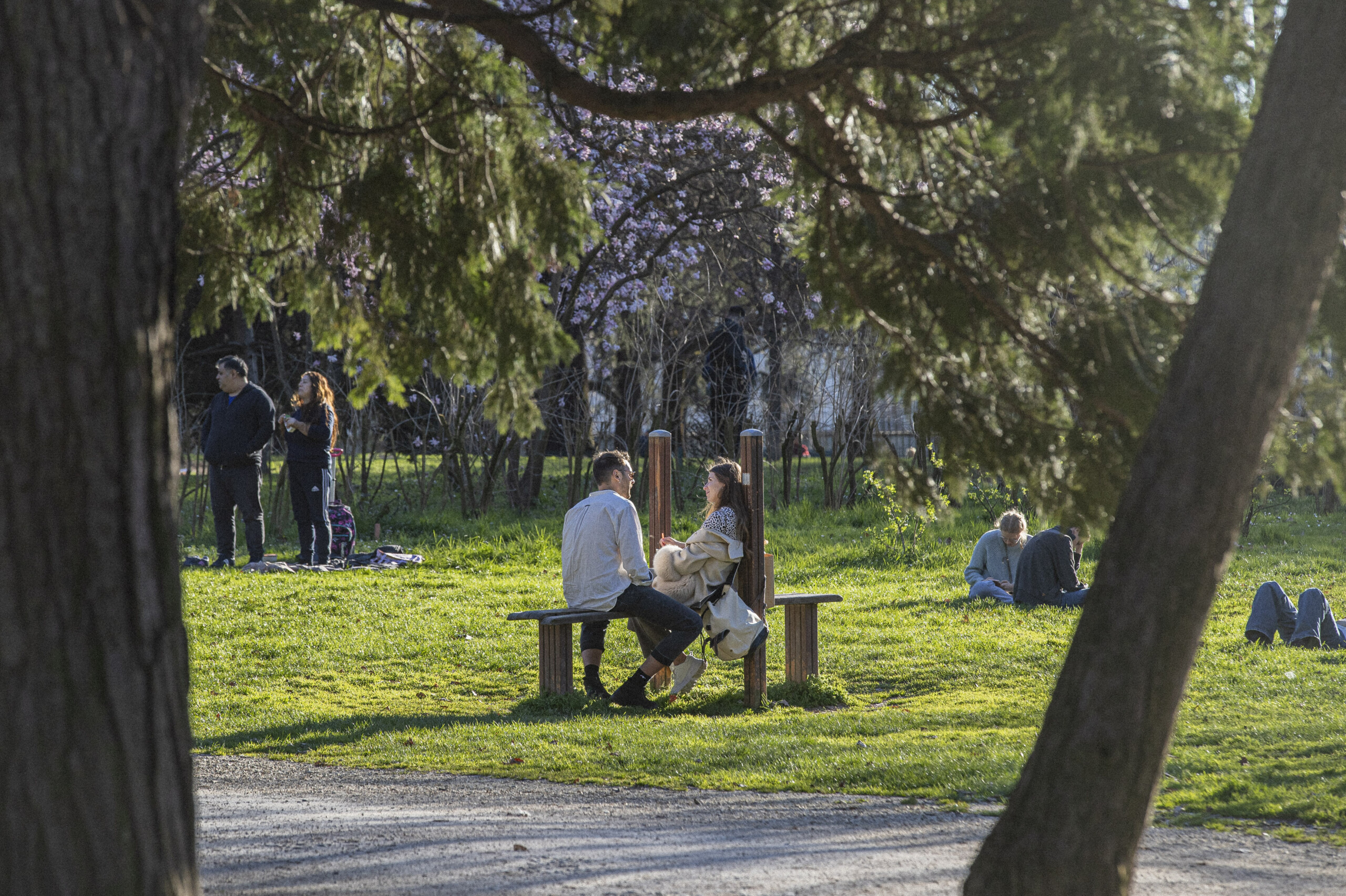 Climate, Copernicus-WMO: "Europe is warming increasingly rapidly"