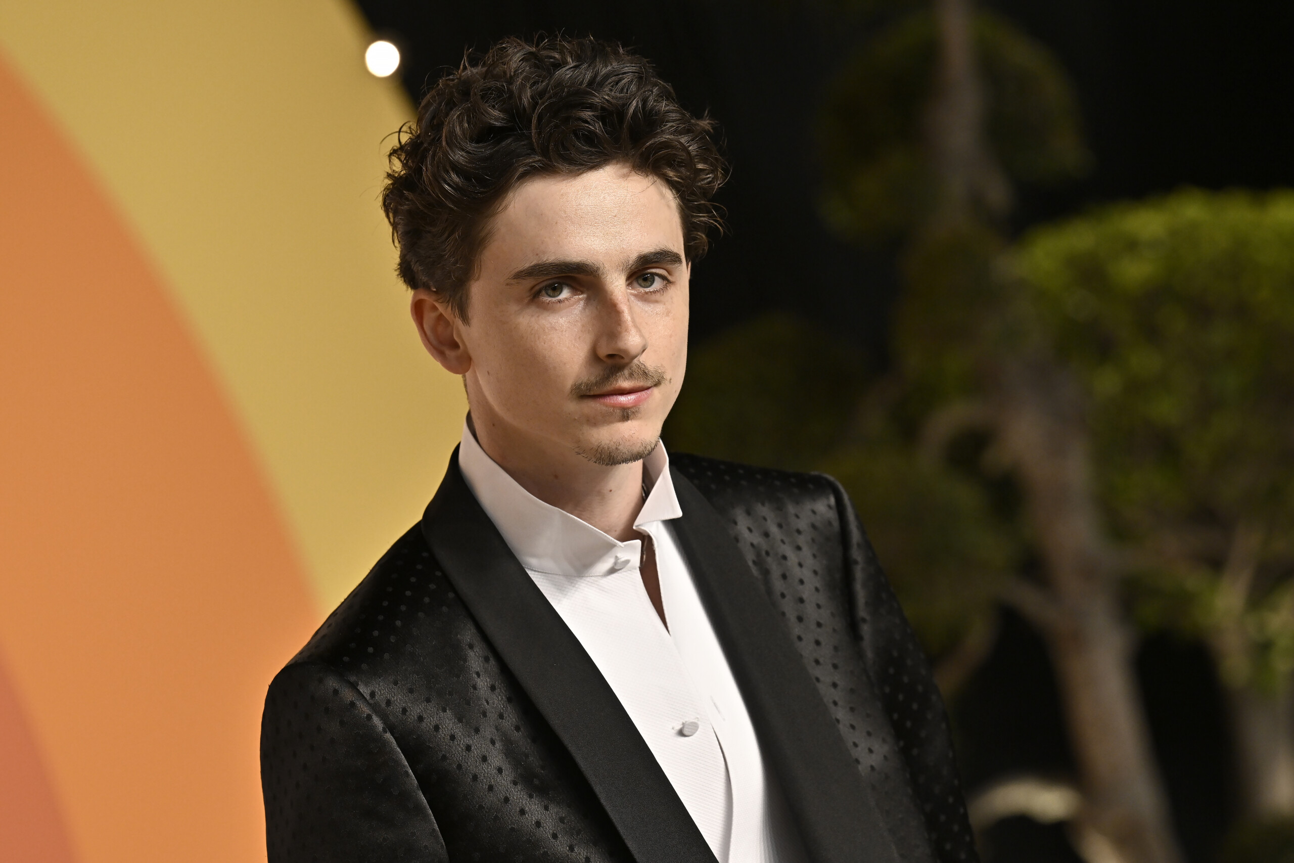 David di Donatello: Timothée Chalamet will receive the Special Award David di Donatello: Timothée Chalamet will receive the Special Award