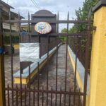 Dead babies: Petrolini's defence requests psychiatric evaluation