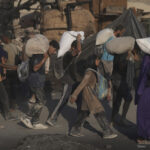 Emirates: ‘We will immediately resume aid deliveries to Gaza’