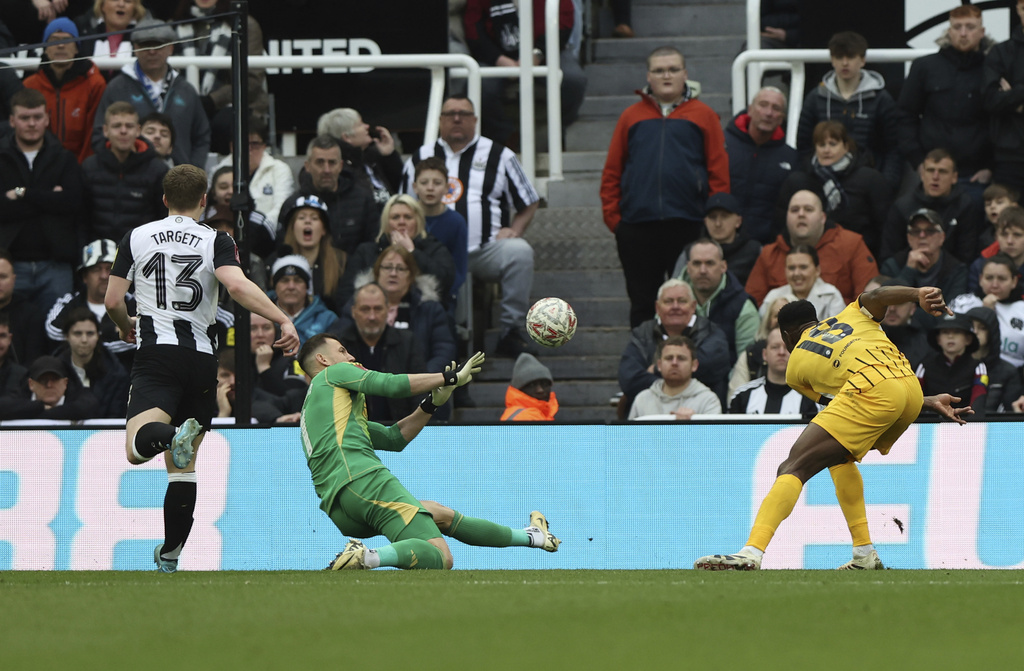 Fa Cup, Brighton to quarterfinals: out goes Tonali's Newcastle Fa Cup, Brighton to quarterfinals: out goes Tonali's Newcastle