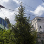 Faito cable car: 25 people under investigation for cabin collapse, including EAV president