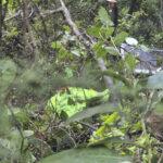 Faito cable car: ‘alert and cooperative’ is the only survivor