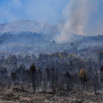 Fires and flames under control on Mount Vesuvius: clean-up operations begin