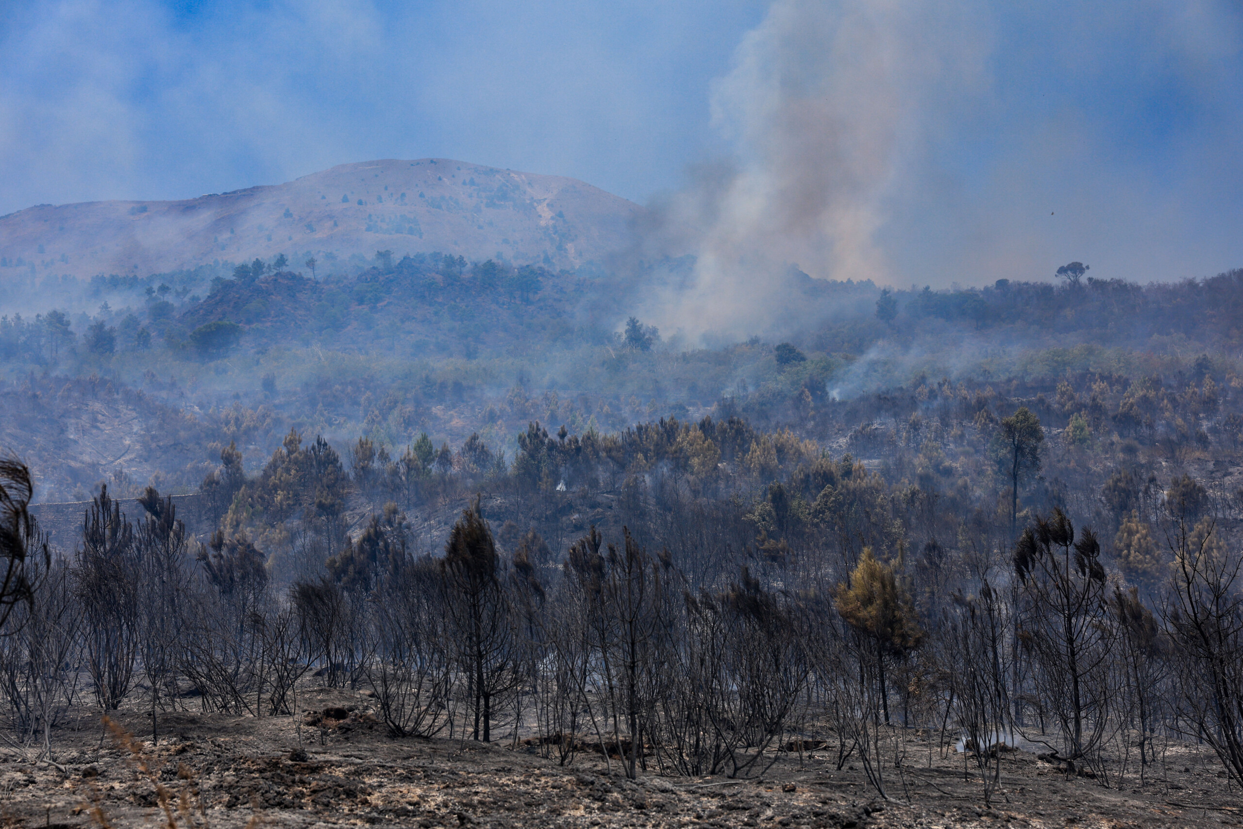 Fires and flames under control on Mount Vesuvius: clean-up operations begin