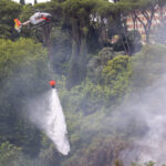 Fires: since 15 June, 42,281 fire brigade interventions, 4,511 in the last 7 days