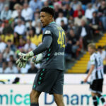 Football: betting on yellow cards, Udinese goalkeeper Okoye faces trial
