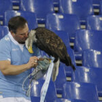 Football: Lazio evicts former falconer Bernabé from Formello