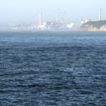Fukushima, China to resume fish imports suspended by Japan