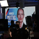 Germany: Berlin strongly rejects US criticism over AfD classification