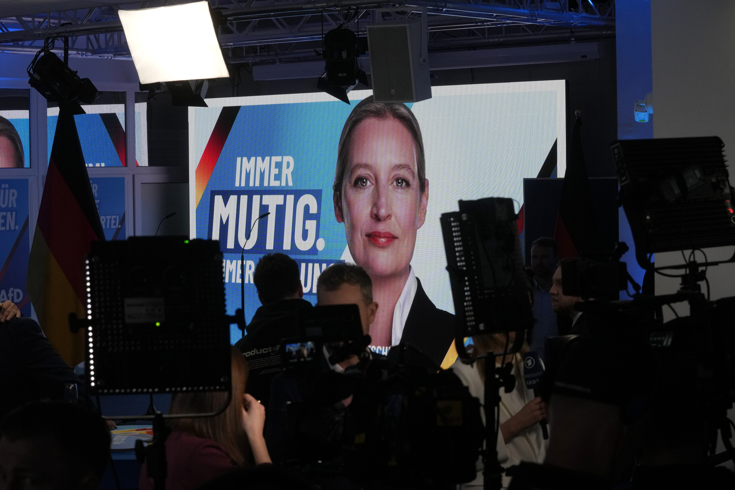Germany: Berlin strongly rejects US criticism over AfD classification