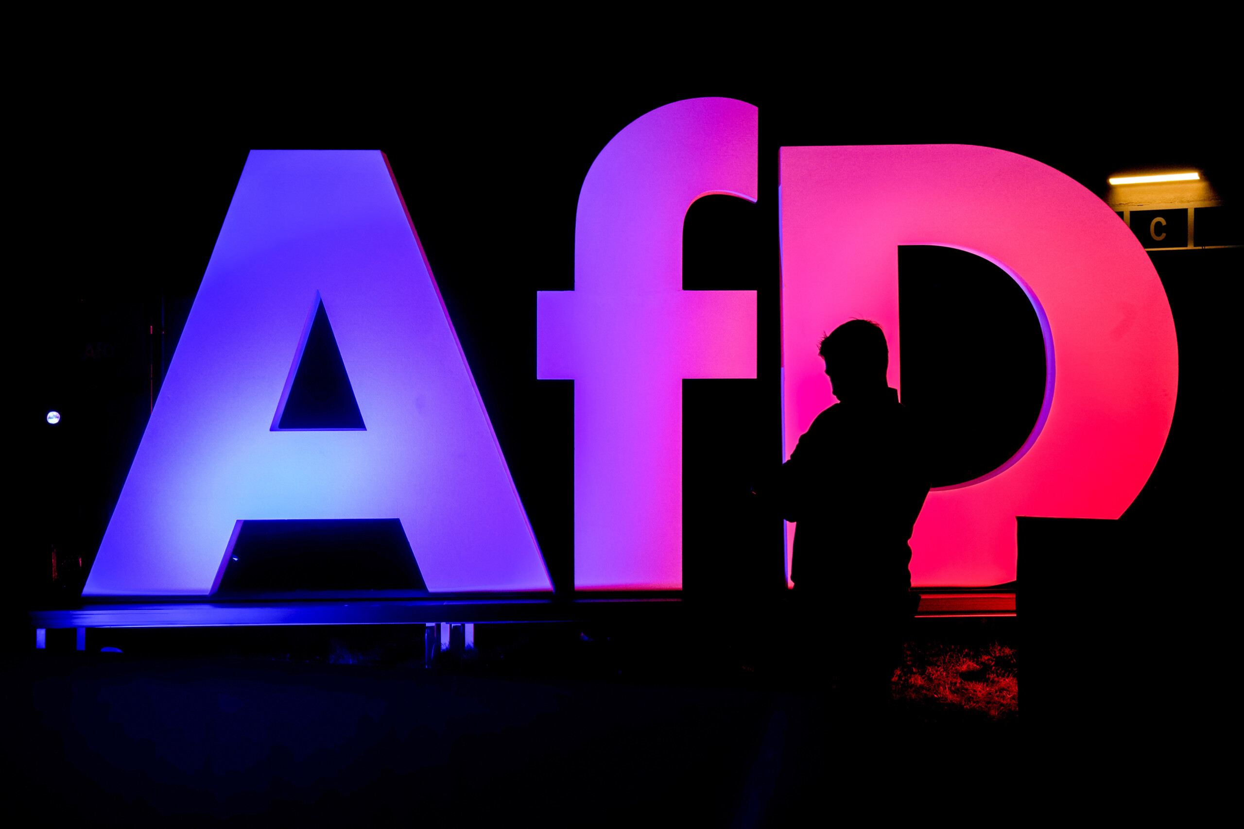 Germany, media: AfD files lawsuit against German intelligence Germany, media: AfD files lawsuit against German intelligence
