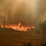 Greece: evacuations due to fire south of Athens