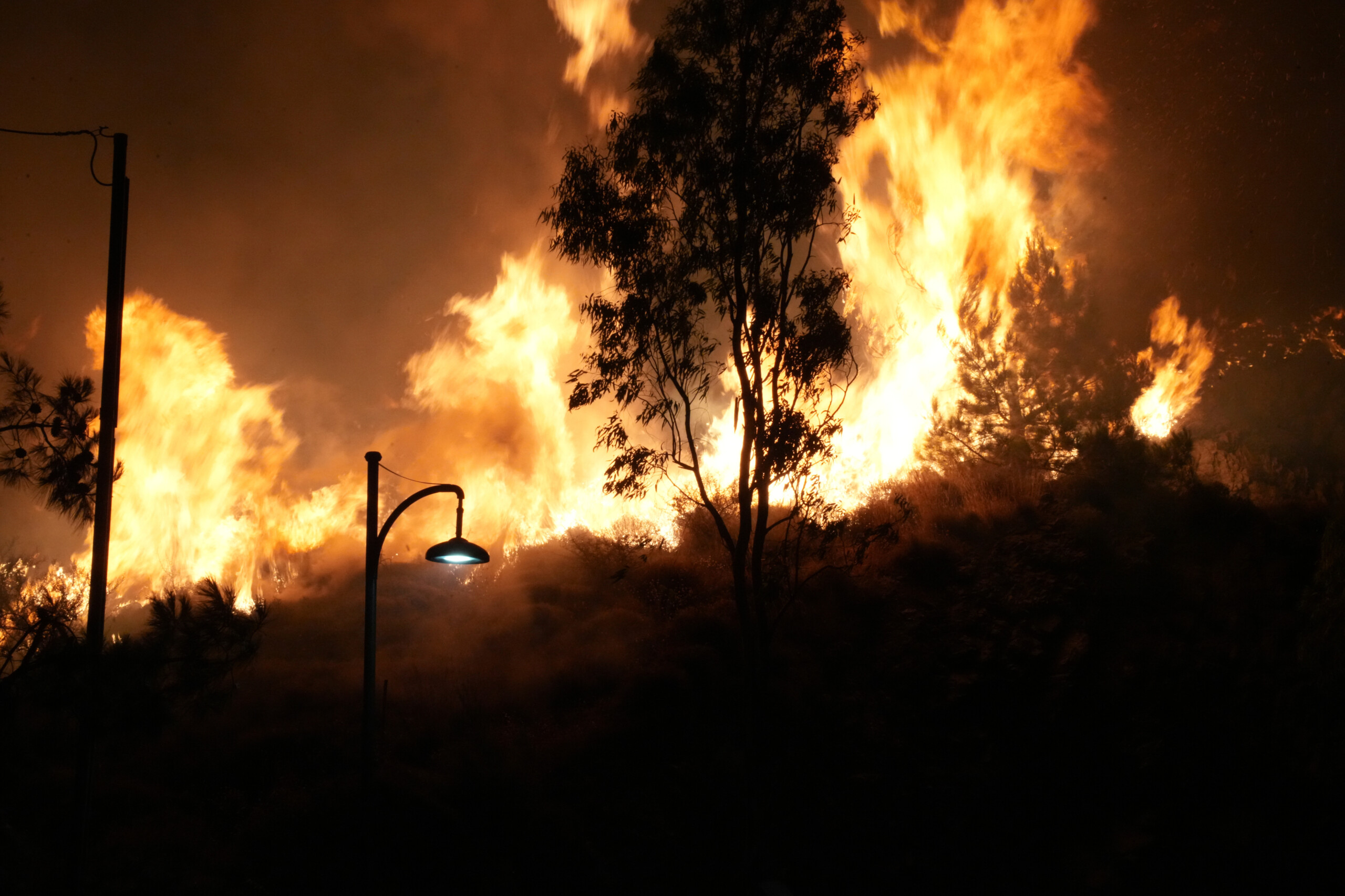 Greece, large fire in southeastern Crete: houses and hotels evacuated