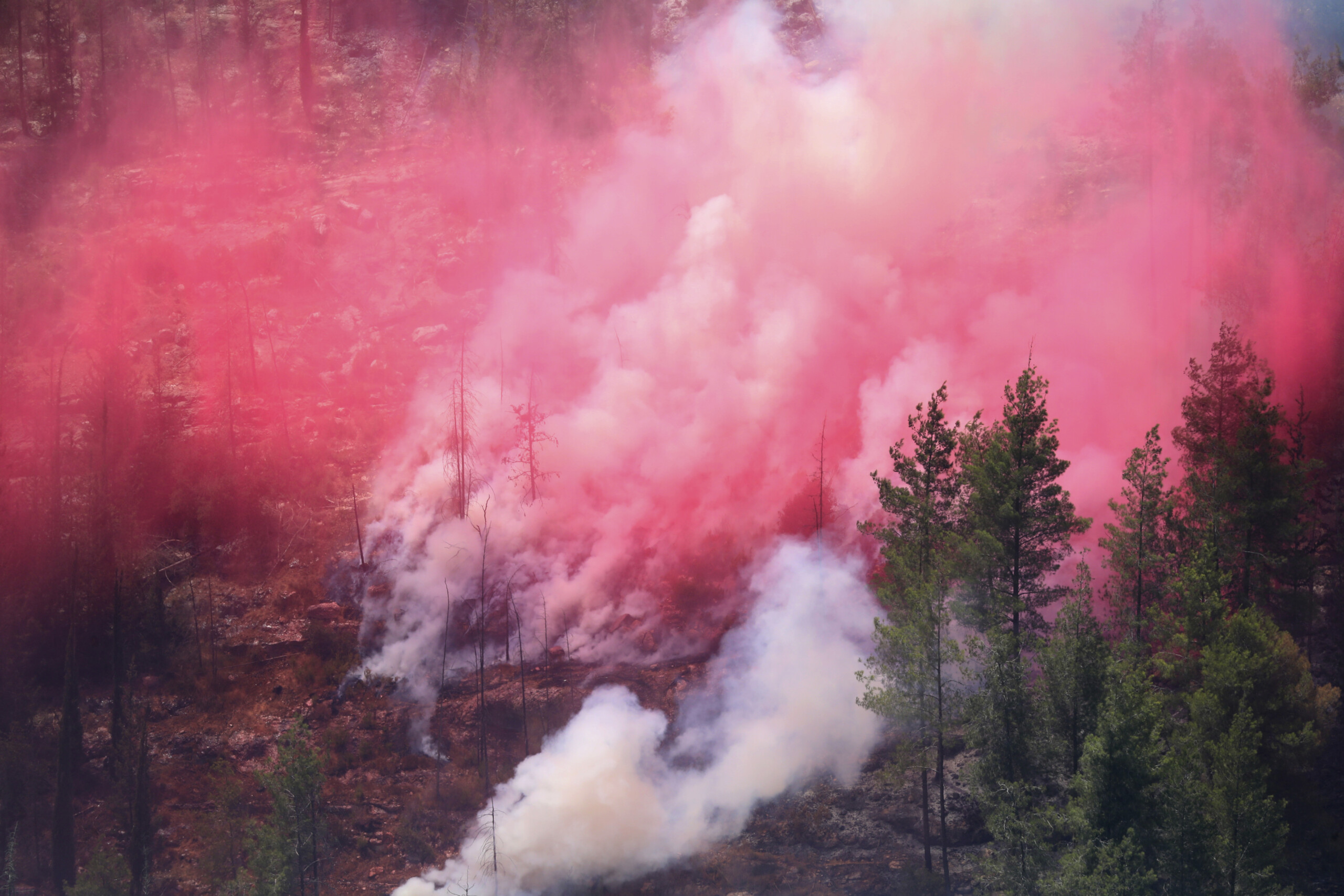 Middle East, 2 Italian Canadair planes take off for Israel to fight fires Middle East, 2 Italian Canadair planes take off for Israel to fight fires
