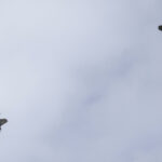 Middle East: IDF, air raid in the southern suburbs of Beirut