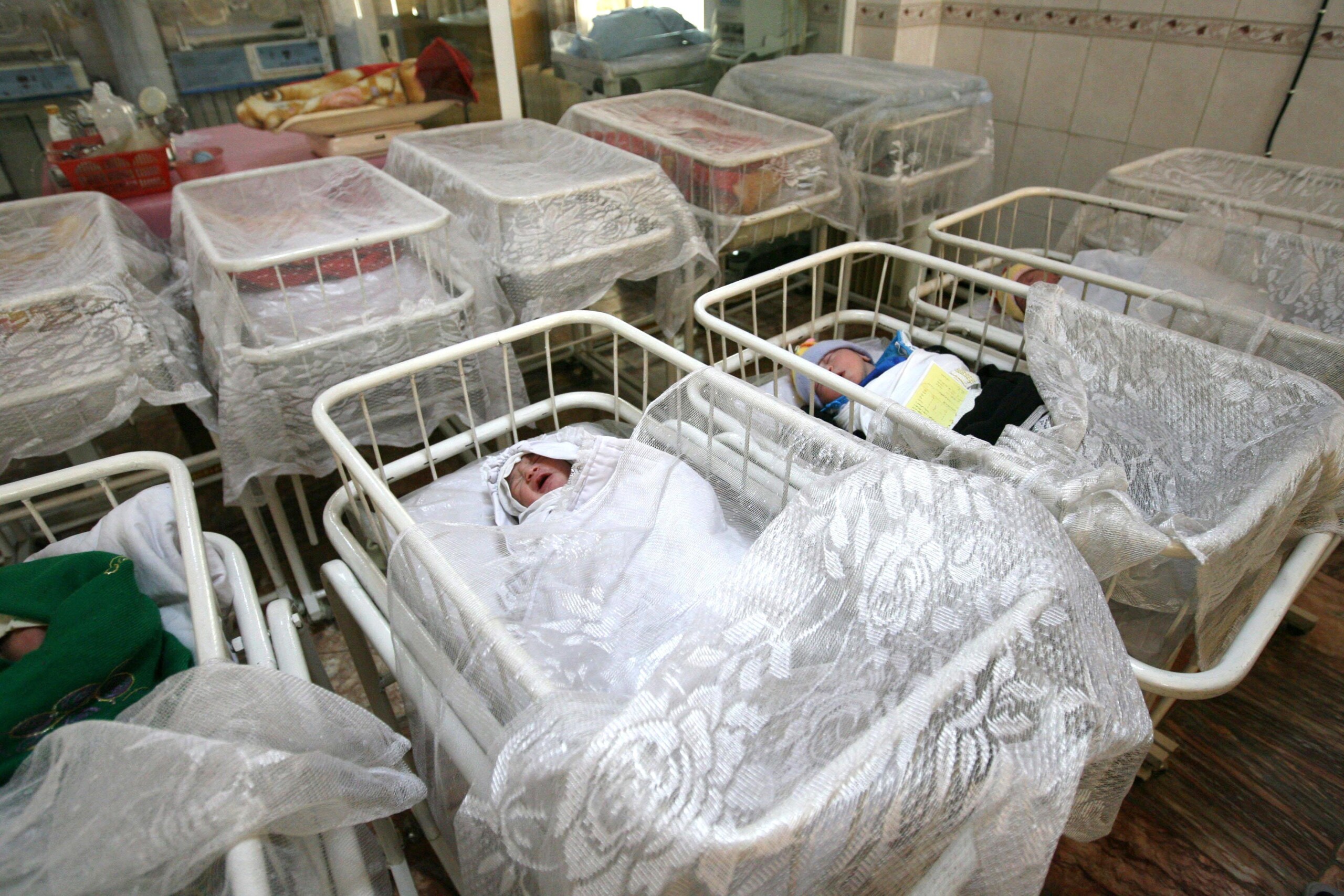 Milan: 18% of newborns have double surnames, Leonardo and Sofia are the most popular names Milan: 18% of newborns have double surnames, Leonardo and Sofia are the most popular names