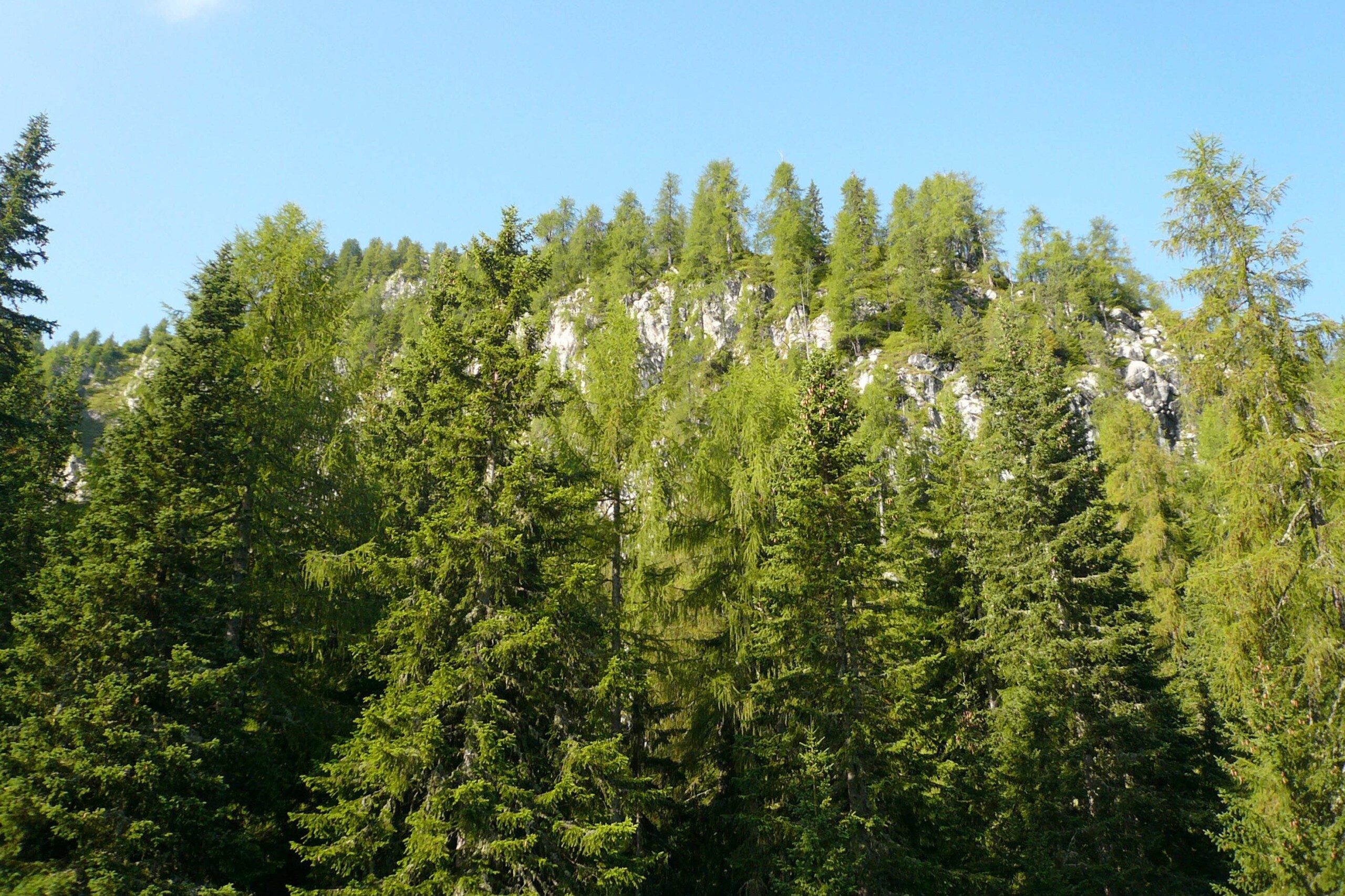 Mountains, 21-year-old missing since yesterday found dead in Piedmont