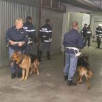 Naples: anti-Camorra operation, 25 precautionary measures