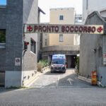 Pistoia: Grandmother and granddaughter seriously injured in attack by 3 pit bulls