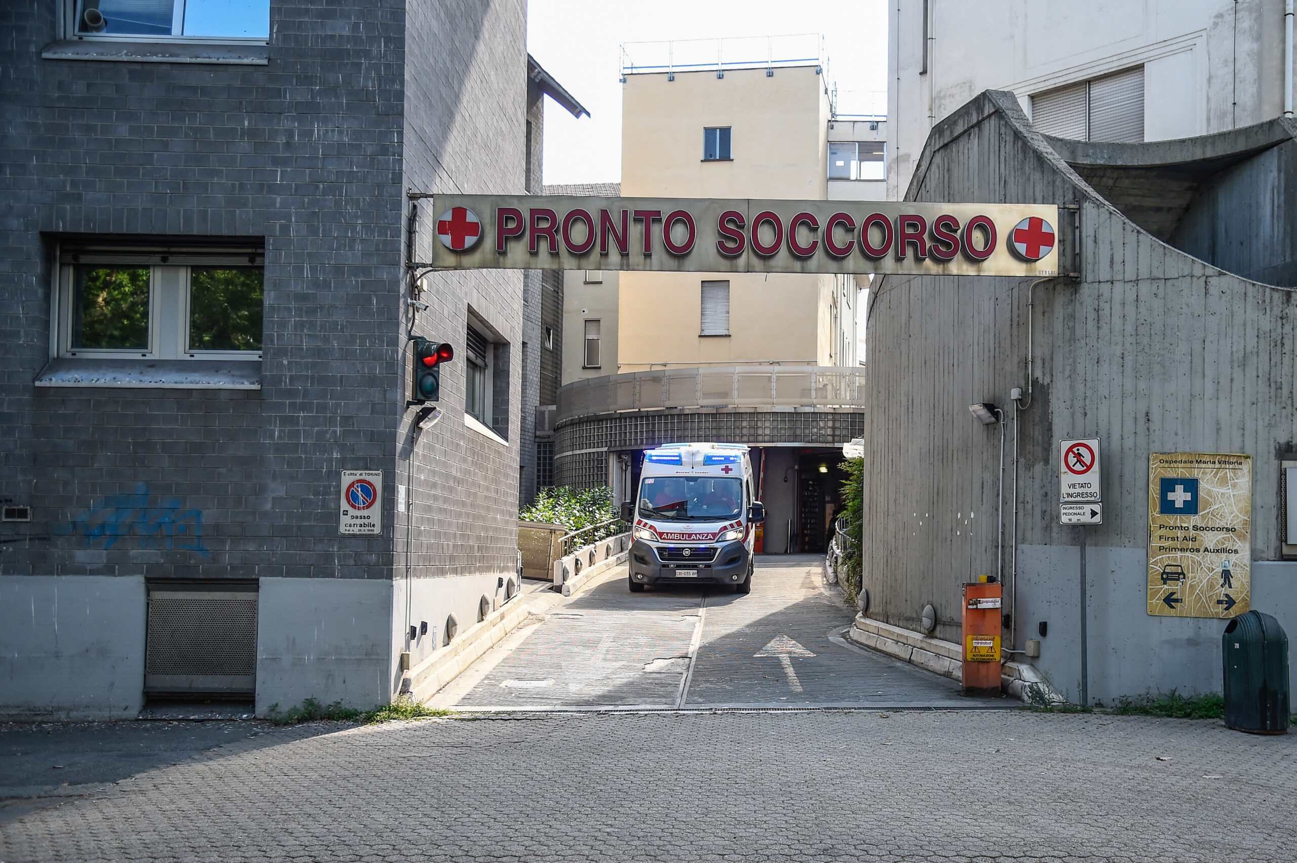 Pistoia: Grandmother and granddaughter seriously injured in attack by 3 pit bulls