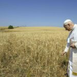 Pope Leo XIV on Tg1: "Let’s work together to find solutions to war"