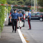 Prato: escort murdered, skeletal remains found in excavations near killer's home