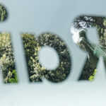 Rai: PD-M5S-AVS-+EU agree to a table for a shared reform of Governance