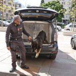 Rome: 14 drug traffickers and 2 police officers arrested in the capital and along the coast