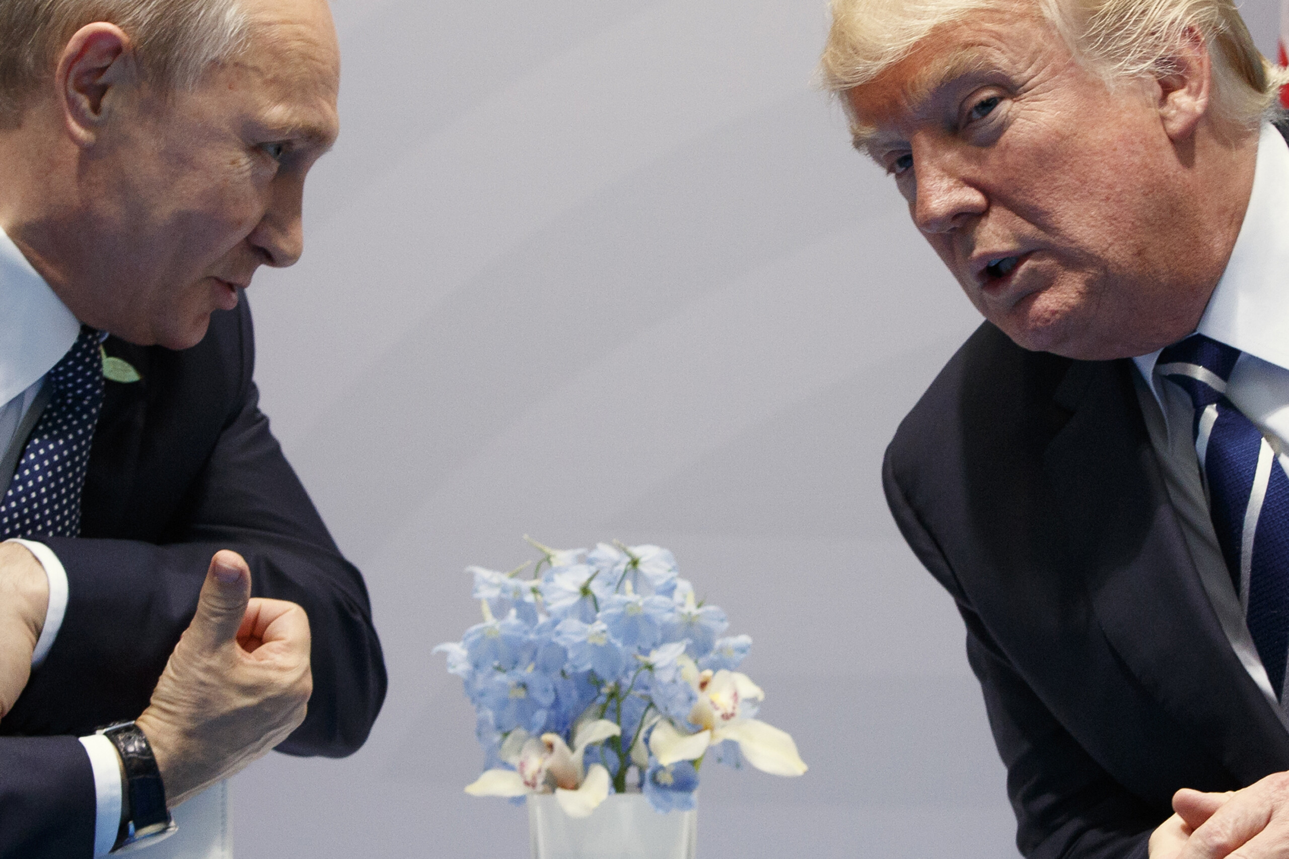 Russia-USA: Kremlin, Putin remains open to contacts with Trump