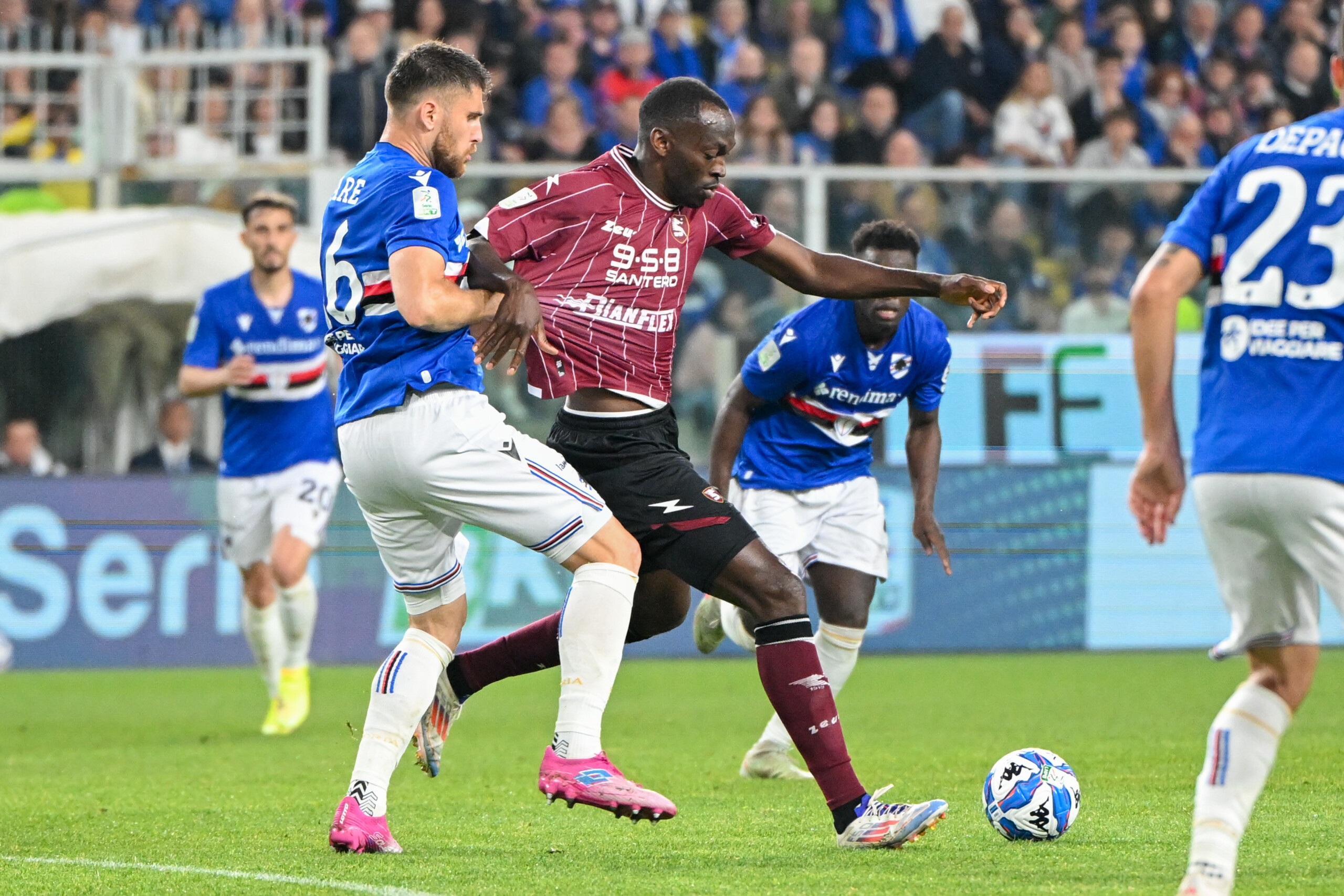 Serie B Confirms Final Standings, Playout Will Be Sampdoria vs Salernitana