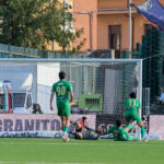 Serie B: Wins for Frosinone, Cremonese, and Salernitana