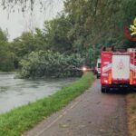 Severe Weather: Woman Dies After Tree Falls Near Milan