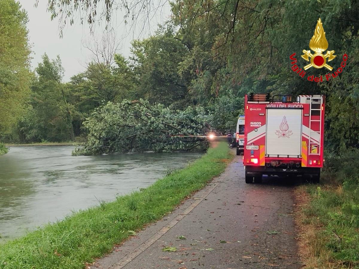 Severe Weather: Woman Dies After Tree Falls Near Milan