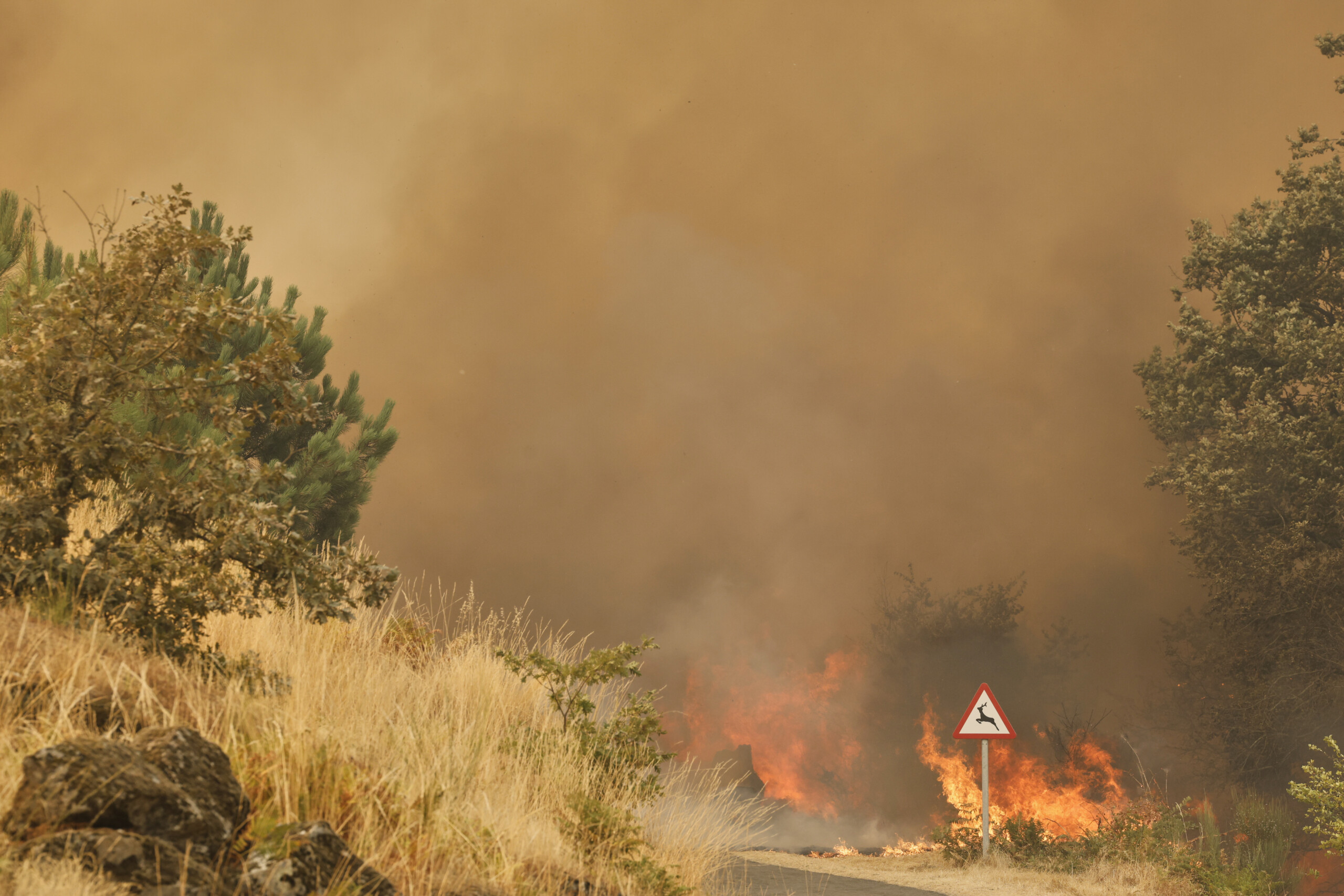 Spain: 2,566 residents from 43 municipalities evacuated due to fires Spain: 2,566 residents from 43 municipalities evacuated due to fires