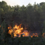 Spain: Fires in multiple regions, thousands spent the night away from home