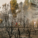 Spain: man arrested for six forest fires in Malaga