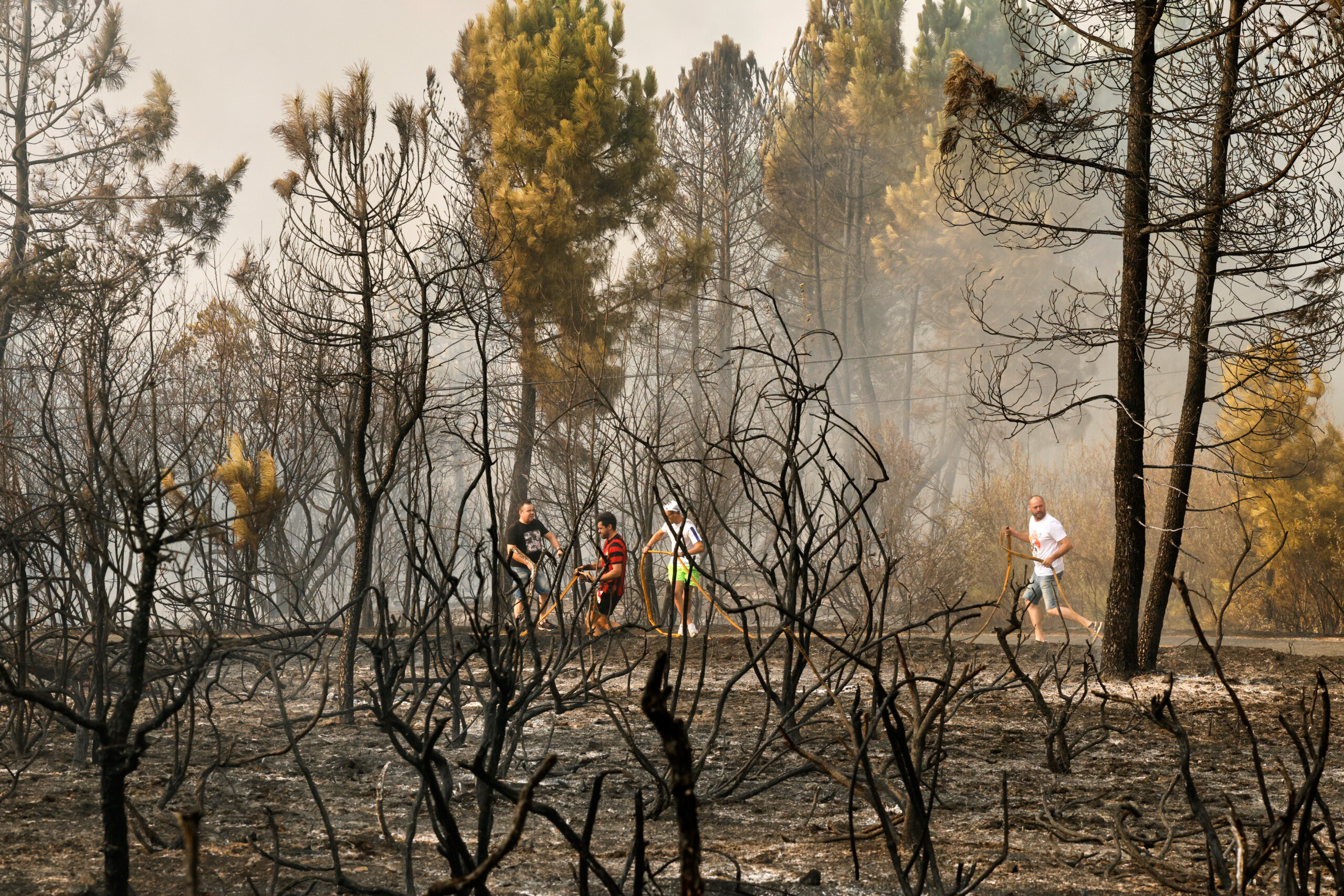 Spain: man arrested for six forest fires in Malaga Spain: man arrested for six forest fires in Malaga