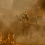 Spain, Sánchez: “Areas affected by wildfires declared emergency zones”