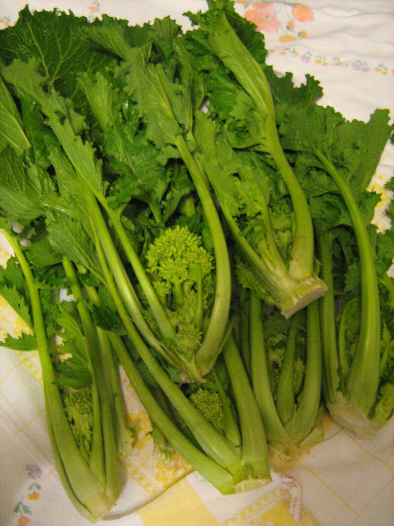 Suspected botulinum contamination, batches of friarielli recalled