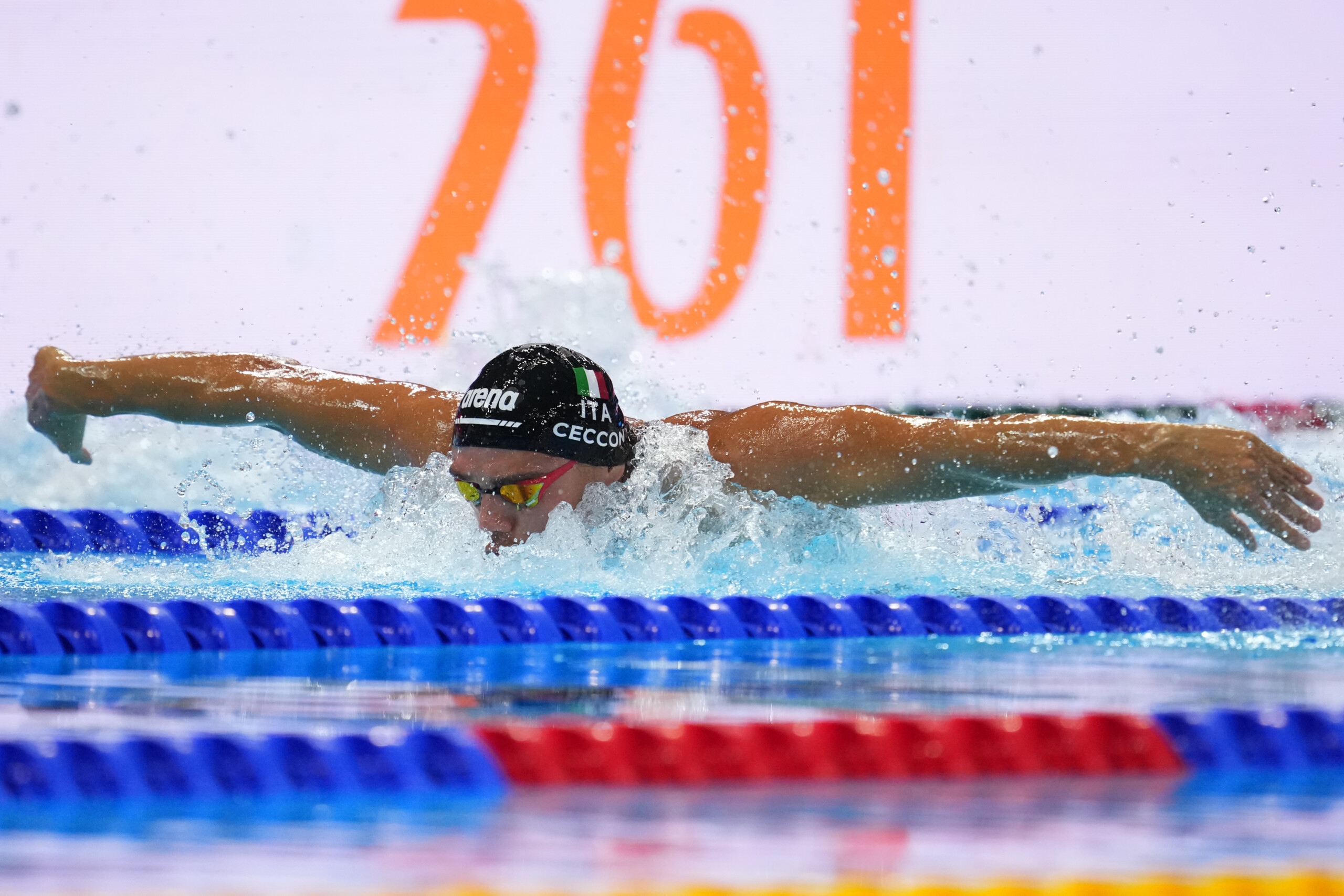Swimming: World Championships in Singapore, Ceccon eighth in the 100m butterfly final, gold for Grousset