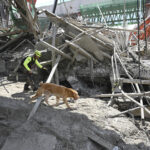 Thailand, bridge collapses on motorway under construction: at least 5 dead