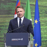 Third term, Lollobrigida: ‘Let's reopen the debate with the League and the opposition’