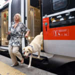 Trenitalia: dogs travel free on Frecce and Intercity trains until 15 September